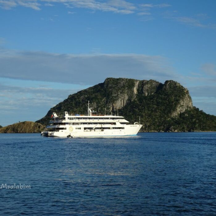 Blue Lagoon Cruise Fiji Fidschi (6)