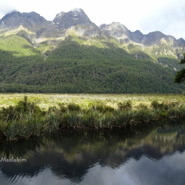 Te Anau u Milford Sound Rückblick Neuseeland