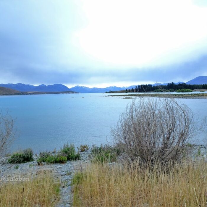 Zw Christchurch u Twizel Neuseeland