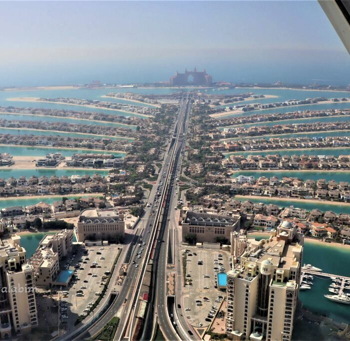 Palme Dubai Vereinigte Arabische Emirate