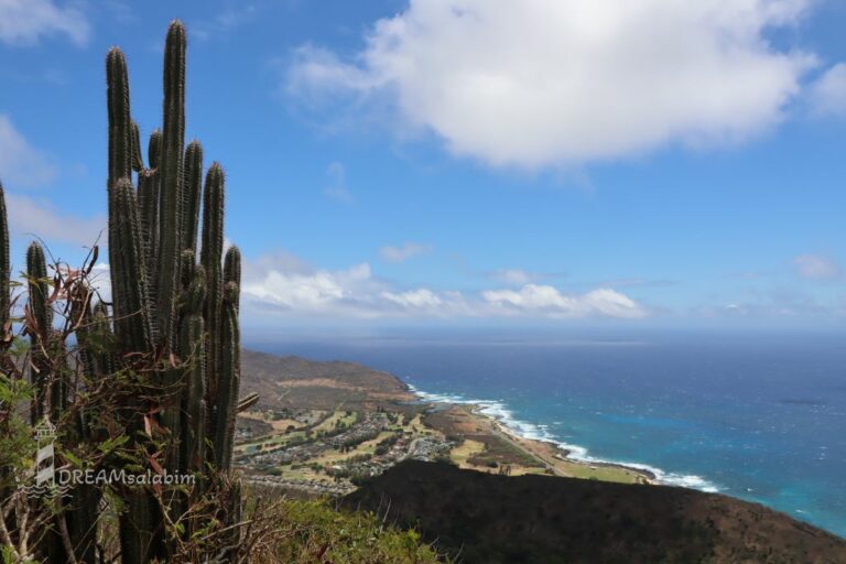 Hawaii, Oahu- Die lebhafte Insel