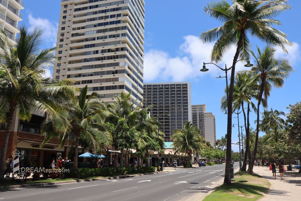 Waikiki Hawaii Oahu (1)