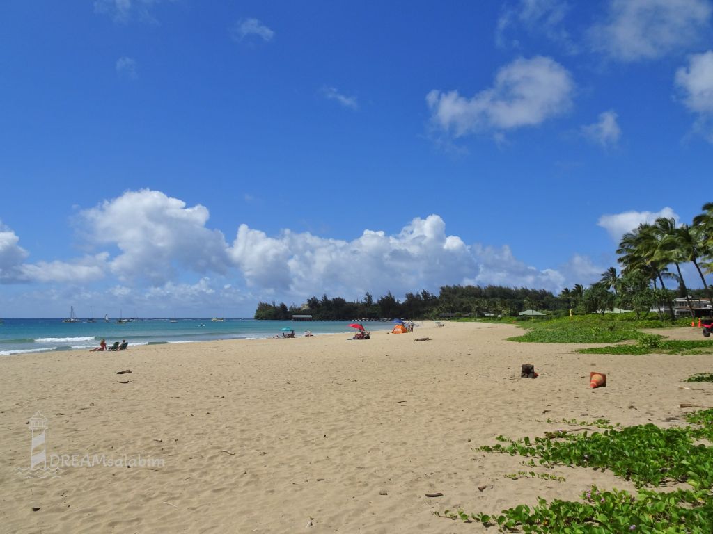 Hanalei Beach Kauai Hawaii (2)