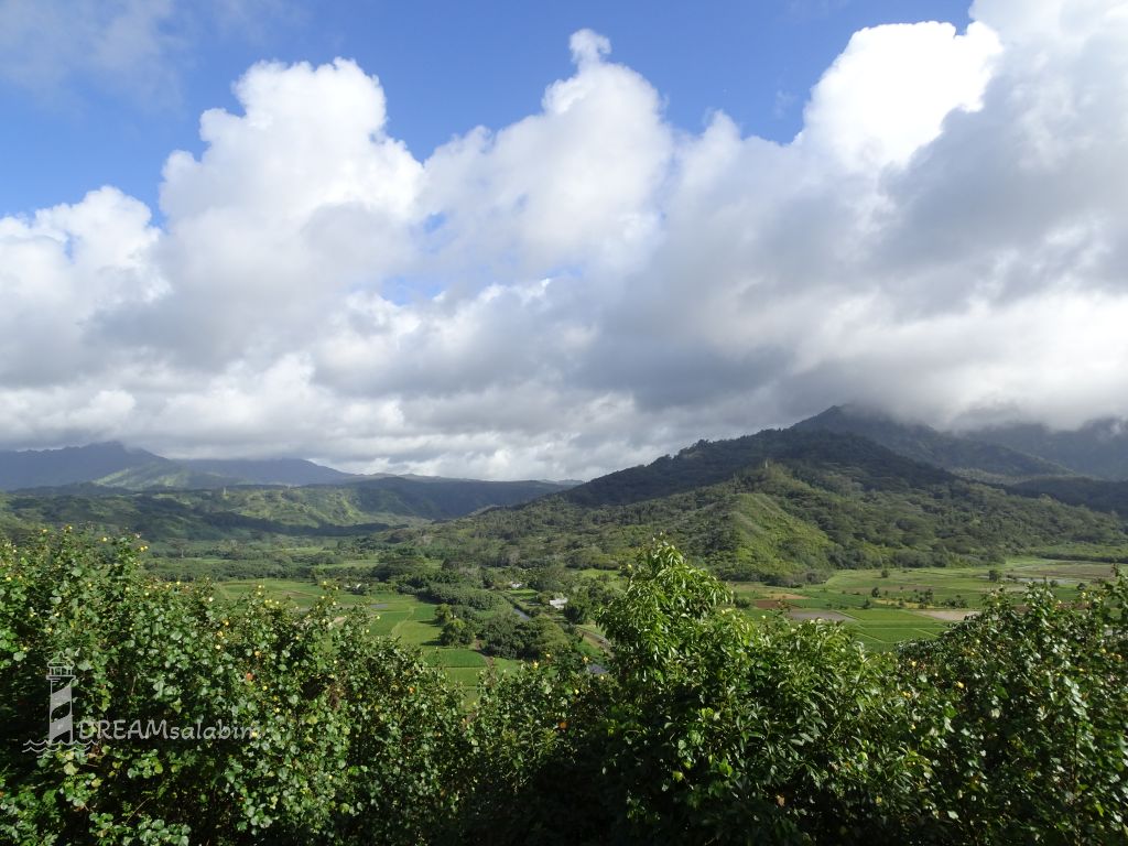 Hanalei Valley Lookout Kauai Hawaii (2)