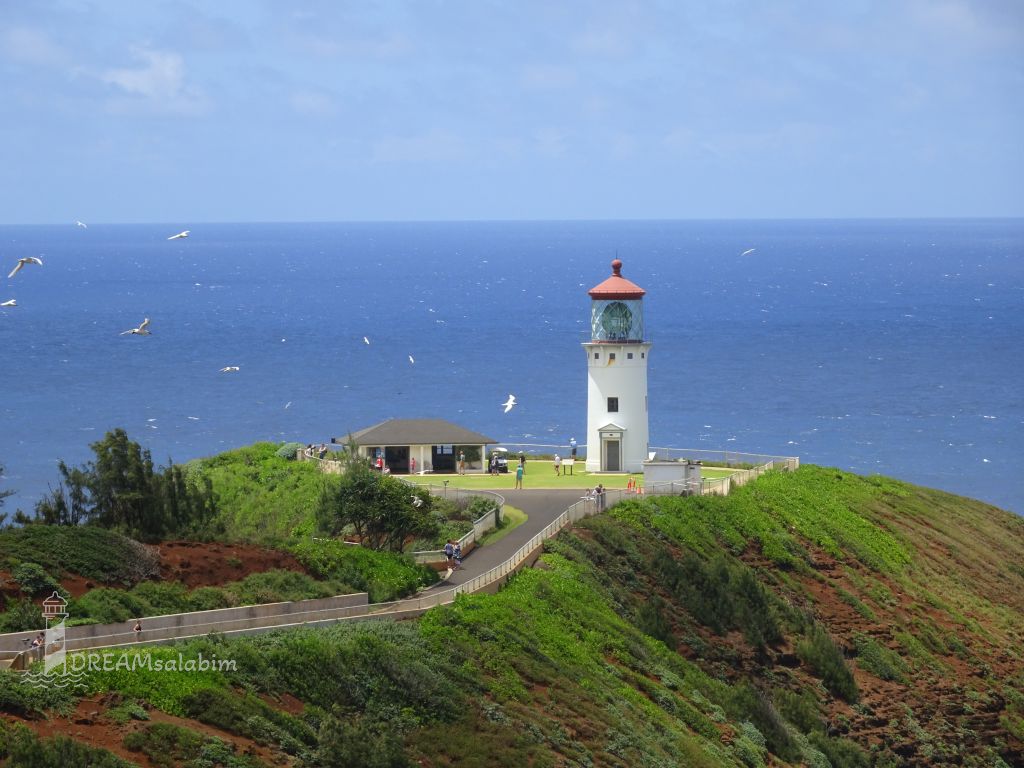 Kilauea Lighthouse Kauai Hawaii (1)