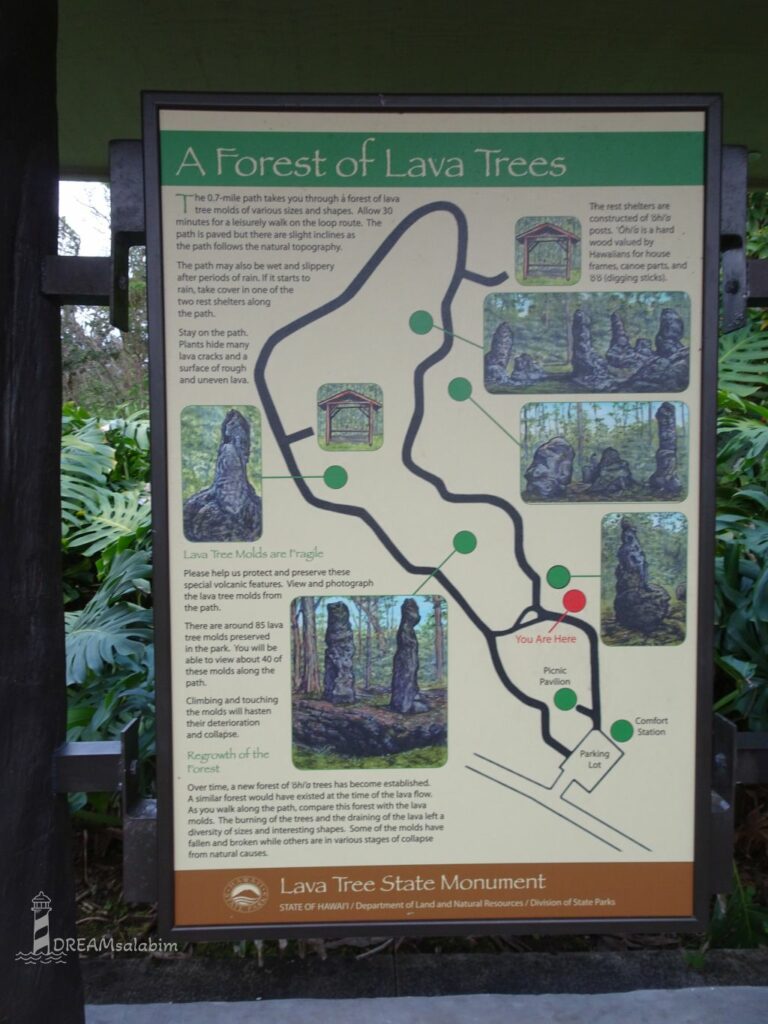 Lava Tree State Hawaii Big Island (1)