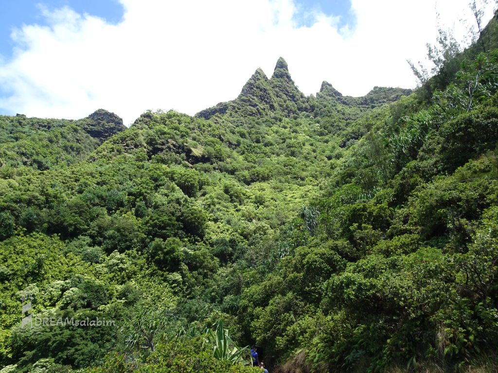Napali Coast Kauai Hawaii (1)