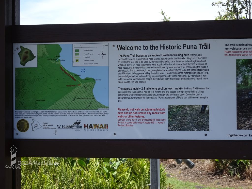 Puna Trail Hawaii Big Island (1)