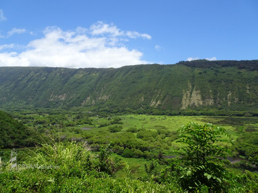 Waipio Valley Hawaii Big Island (1)