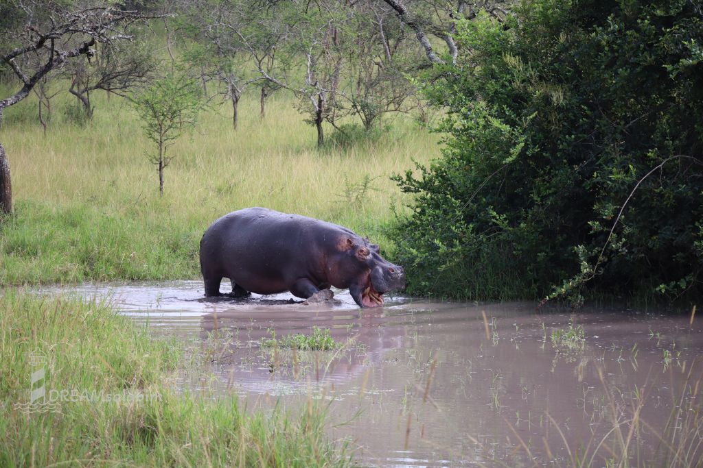 Uganda_Lake Mburo National Park