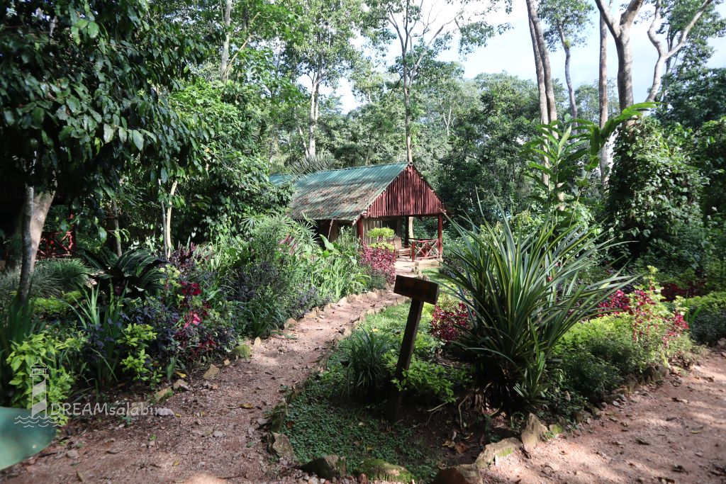 Afrika Uganda Kibale Forest Camp