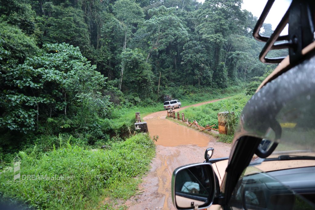 Afrika Uganda Bwindi Impenetrable National Park