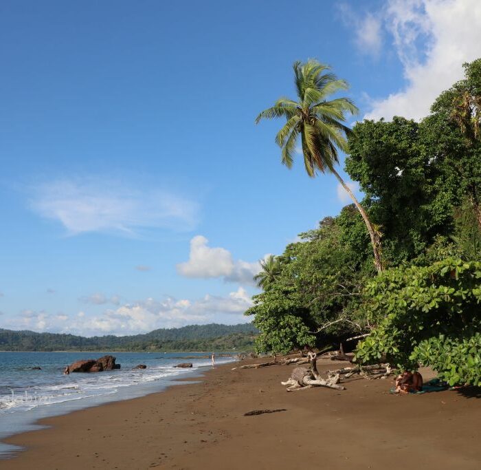Costa Rica Drake Bay Playa Colorado