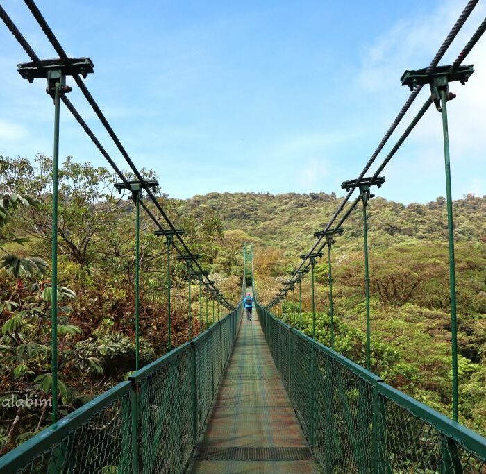 Costa Rica Monteverde Hängebrücken
