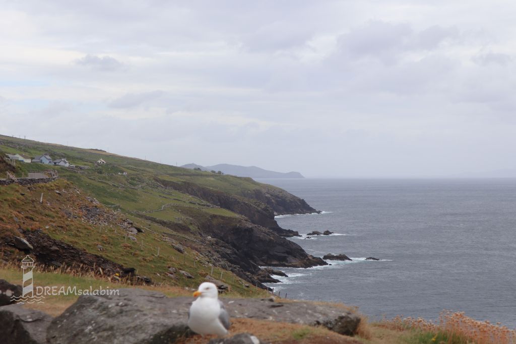 Irland Dingle Peninsula Inch Beach